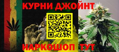 индика Брянск